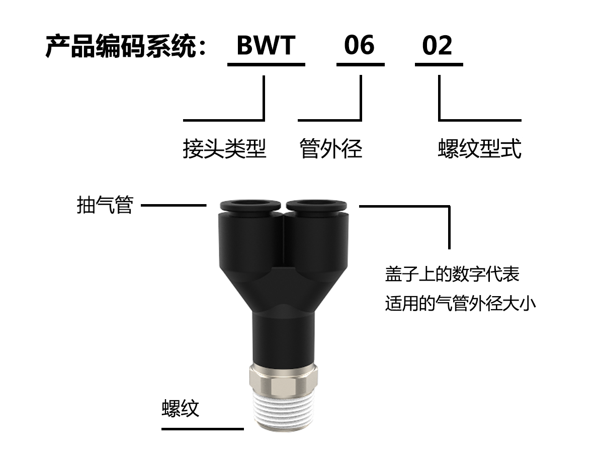 BWT编码系统