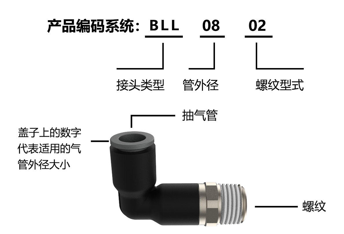 BLL编码系统