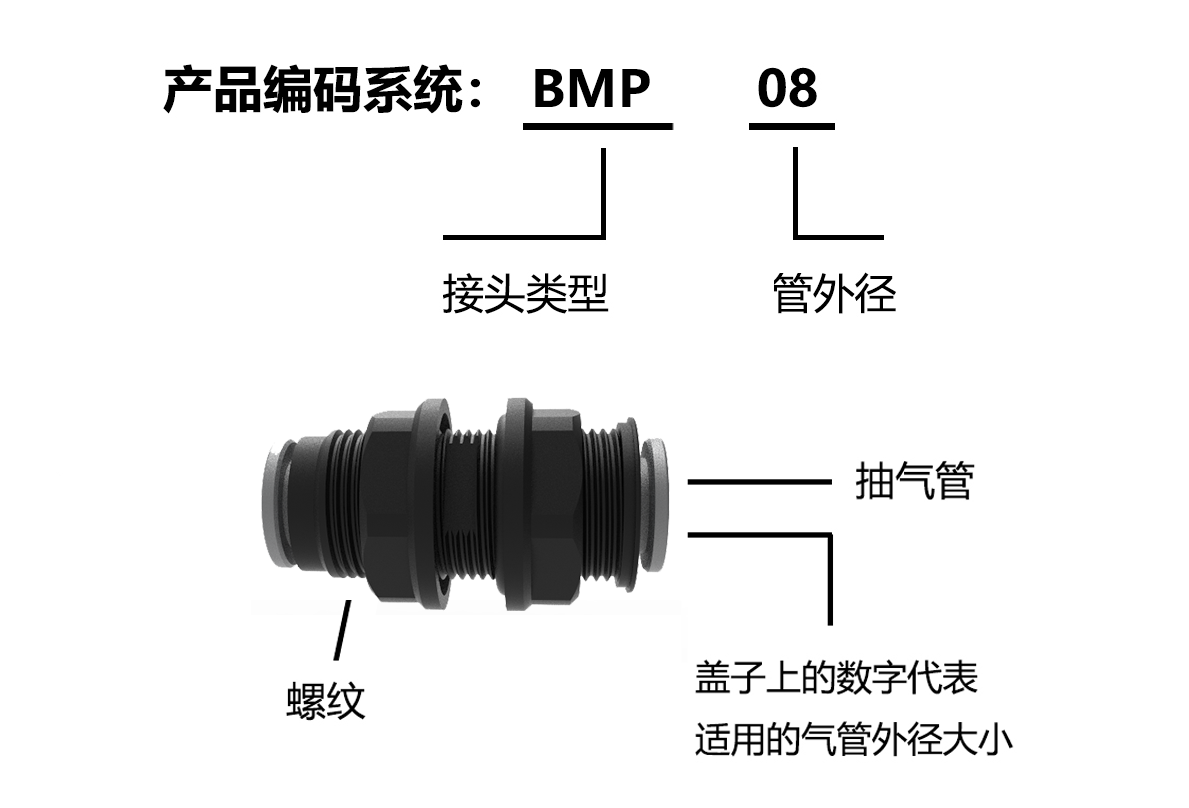 BMP编码系统